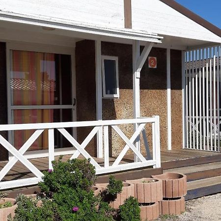 Parque De Campismo Da Praia Da Barra Gafanha da Nazaré Eksteriør bilde