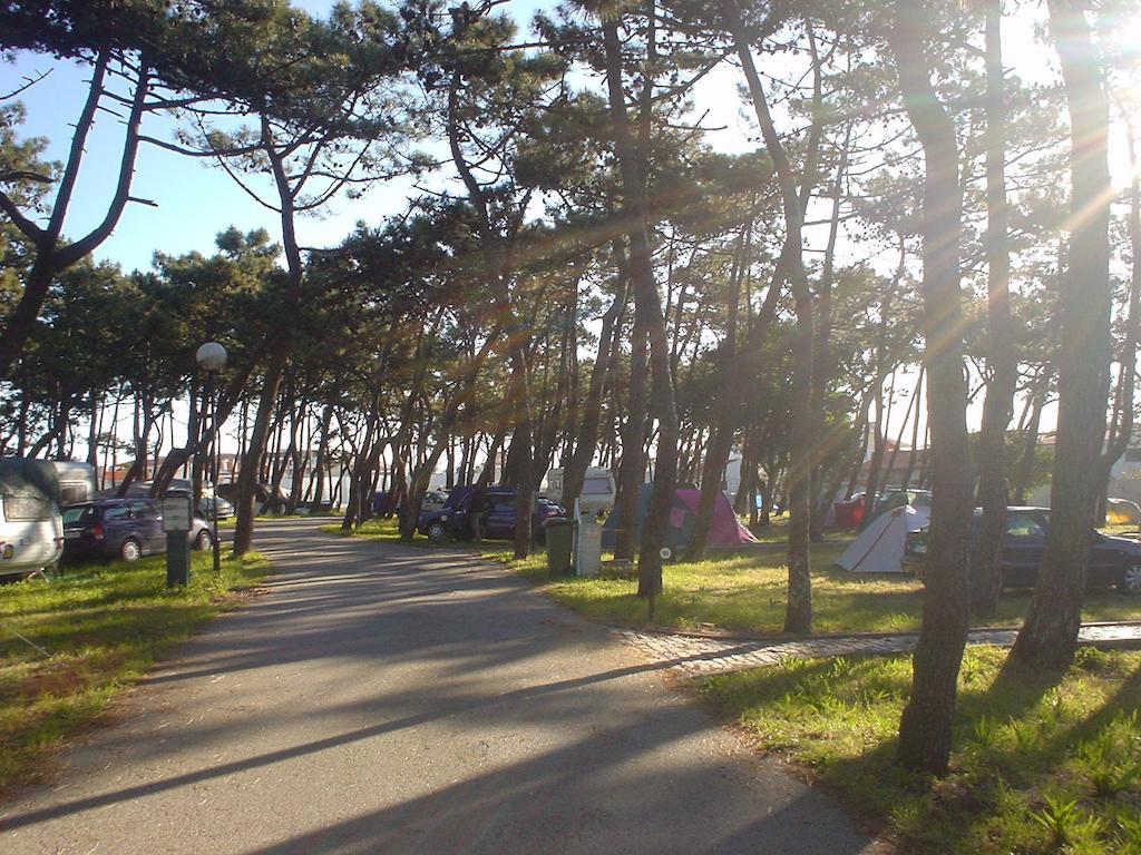 Parque De Campismo Da Praia Da Barra Gafanha da Nazaré Eksteriør bilde
